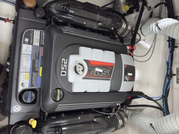 2024 BAYLINER VR6 BOWRIDER